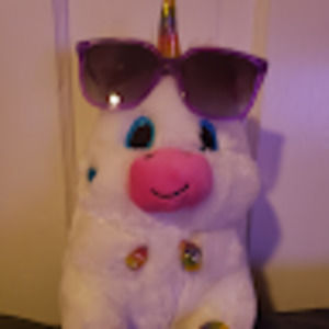 Meet your Posher, Minnie